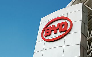 南隼互動 深圳網站設計與建設專家，賦能企業數字化品牌與電子產品營銷